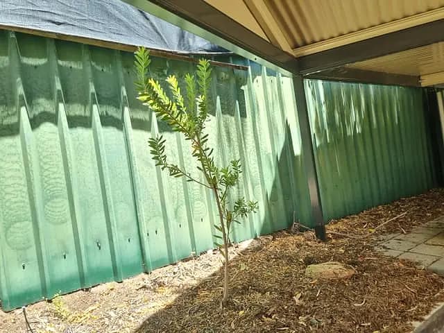 The bare fence line before the timber screen and garden wall
